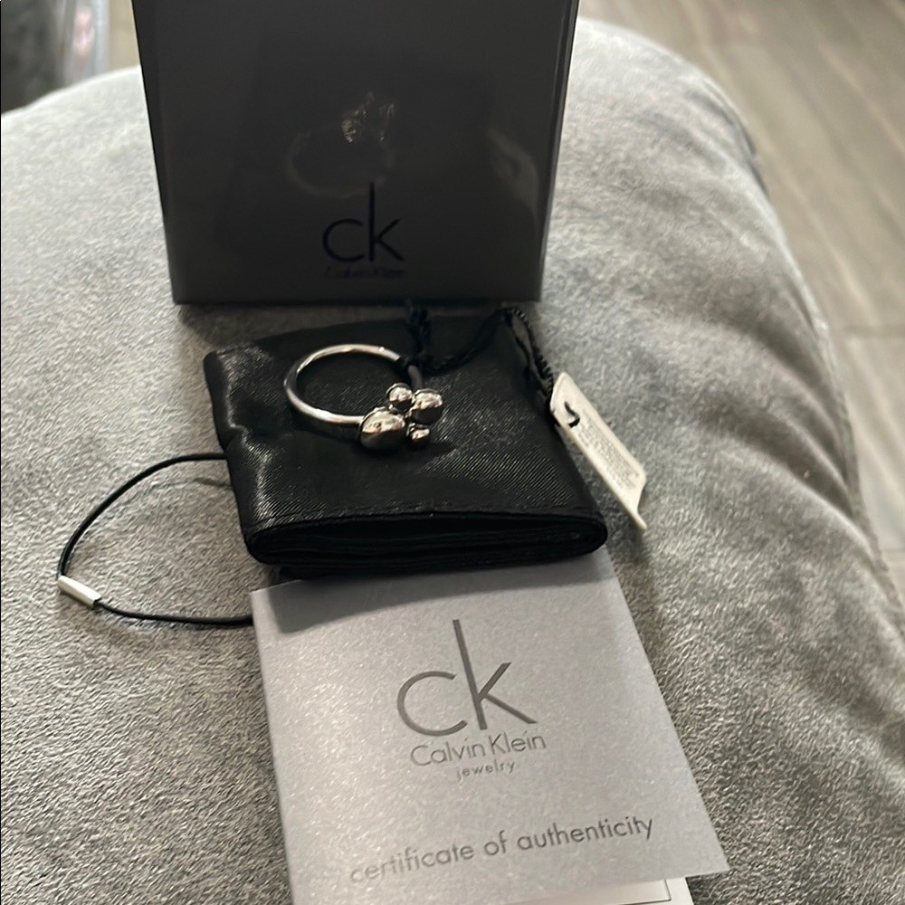 Calvin Klein Silver Jewelry Set